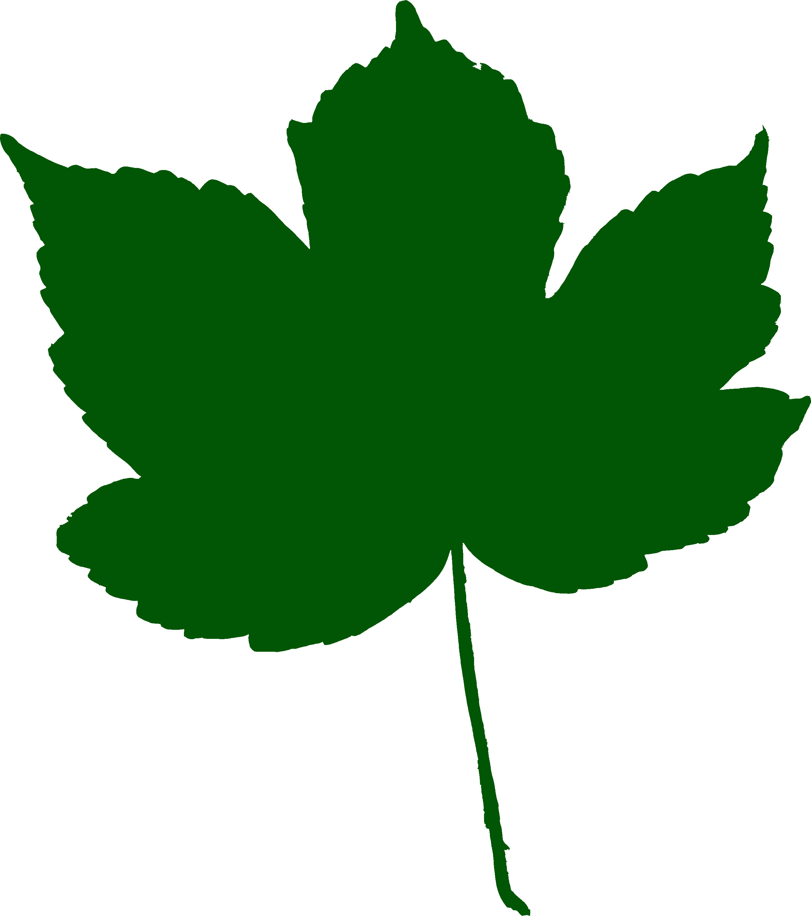 leaf icon