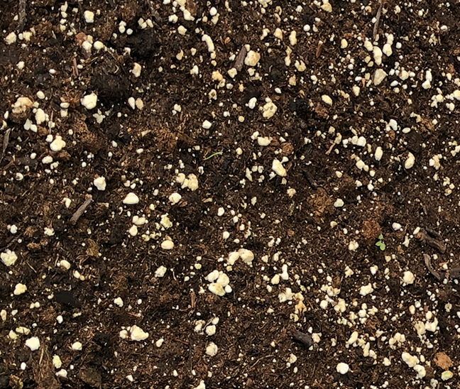 garden soil